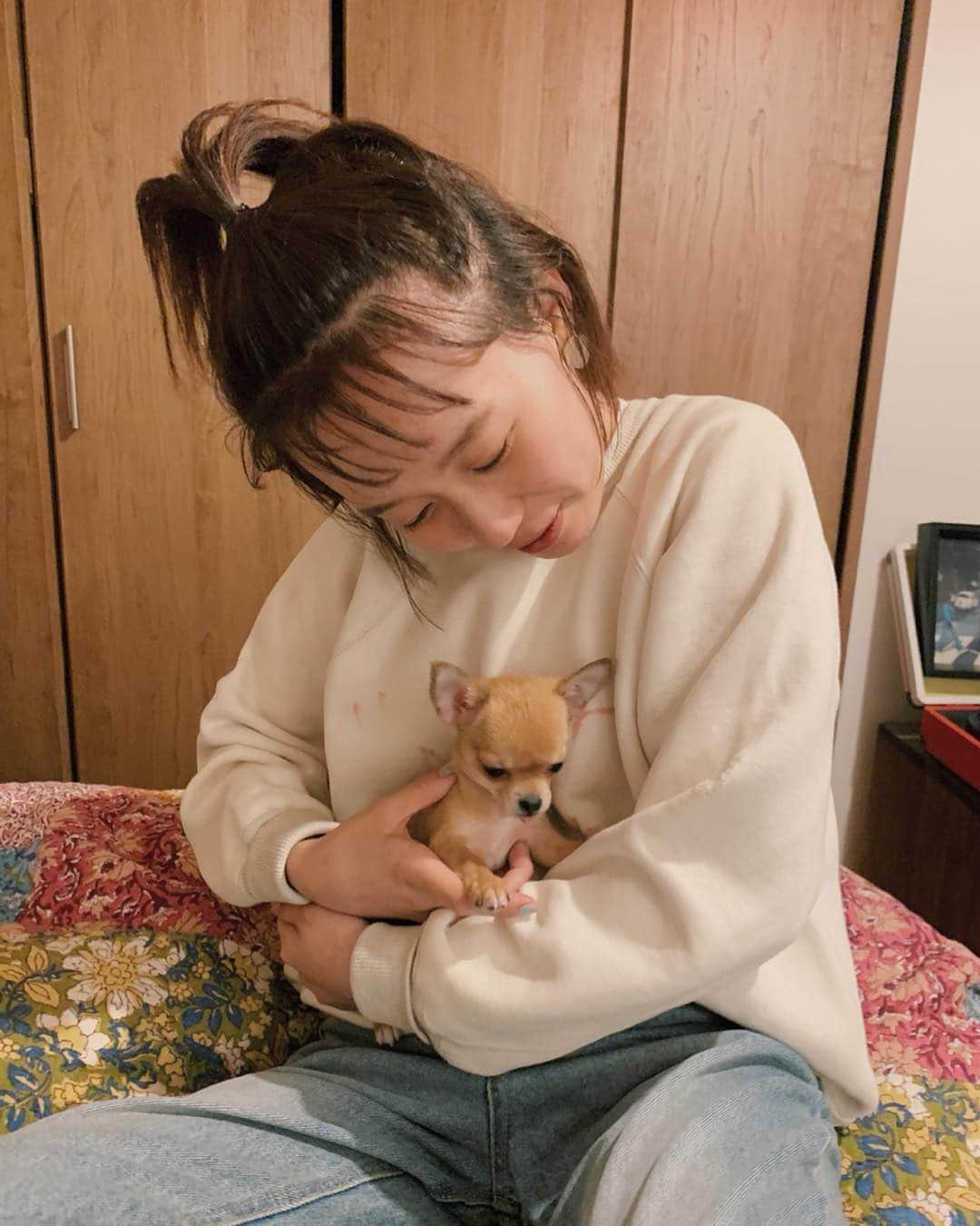 柴田紗希さんのインスタグラム写真 - (柴田紗希Instagram)「なになになになになに！ かわいすぎーーー！！！ 長澤さんちのuniちゃんに会えたよ❤️ スムースチワワさん まだ産まれて二ヵ月なんだって こんな小さな犬がいたんだね あああ、たくさん会いに来てしまうわ 元気に育つんやで！ (最後のウィンクまでお見逃しなく😭✨)」4月2日 21時33分 - shibasaaki