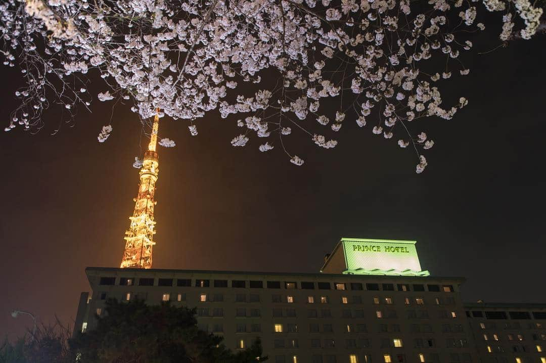 東京プリンスホテルさんのインスタグラム写真 - (東京プリンスホテルInstagram)「ホテルと東京タワーとともに楽しむ夜桜。 Not only that, the night sky adorned with cherry blossoms is quite the view to take in from the hotel and Tokyo Tower.  Share your own images with us by tagging @tokyoprincehotel ————————————————————— #tokyotower #tokyoprincehotel #princehotels #tokyo #japan #beautifulhotels #tokyohotel #東京 #东京 #도쿄 #tokio #tokyoprince」4月2日 21時40分 - tokyoprincehotel