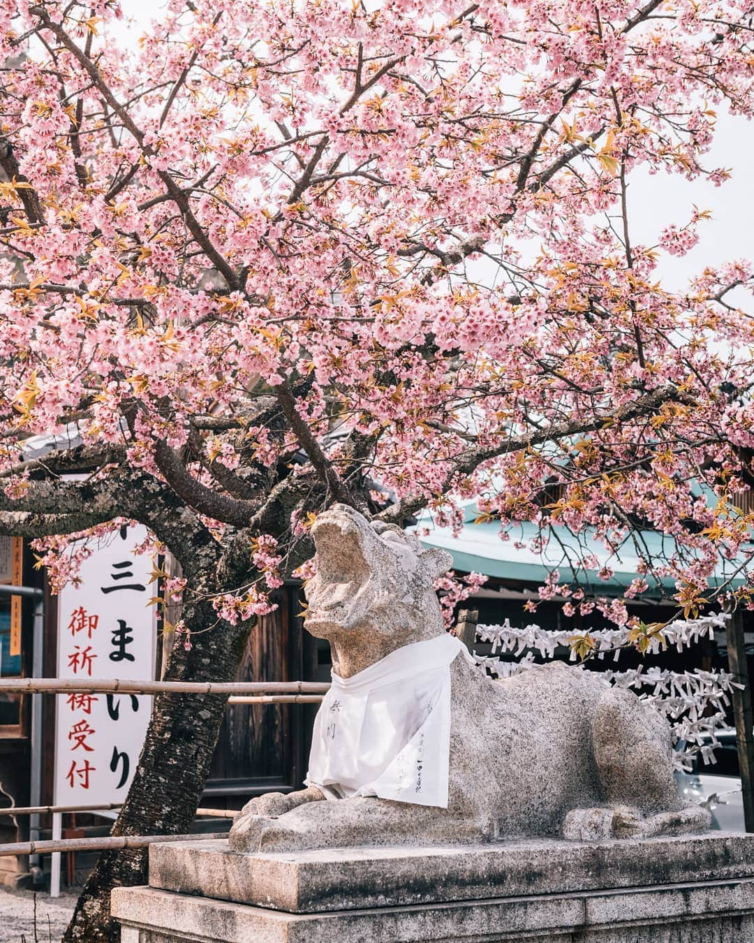 京都いいとこフォトのインスタグラム