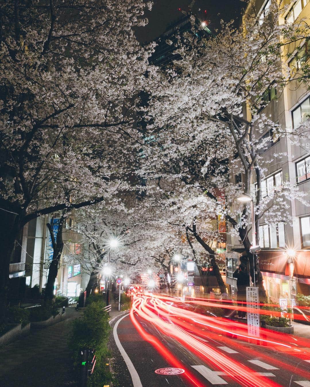 Yuma Yamashitaのインスタグラム：「Shibuya night #inspirationcultmag #hbjp_photochallenge01 #hypebeastjp」