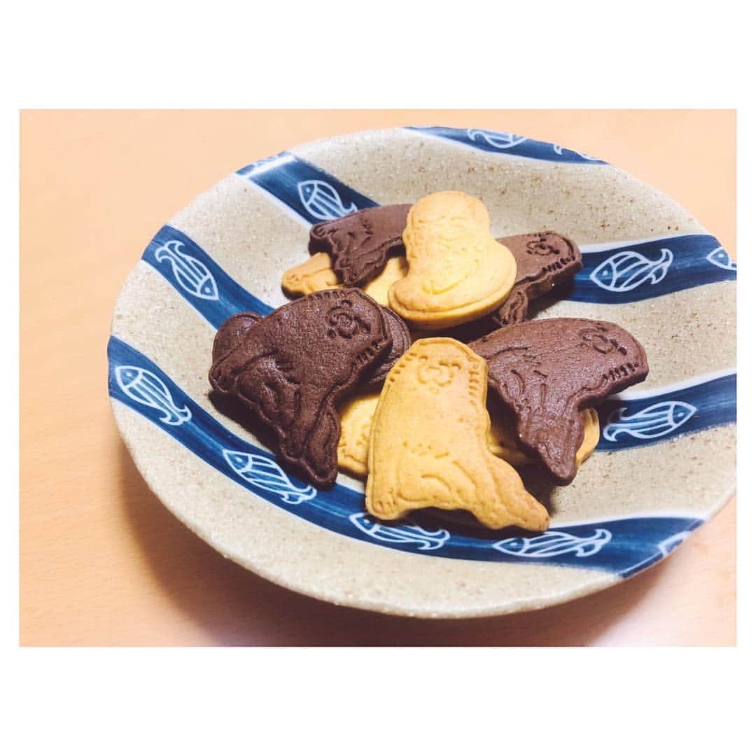 一木千洋のインスタグラム：「奇想の系譜展で販売していたクッキー型。﻿ 長沢芦雪の犬はほんとうに愛くるしいですね！﻿ ﻿ クッキー作ったのなんて何年ぶりだろう…🤔﻿ おいしくできました✨﻿ ﻿ ﻿ #奇想の系譜 #東京都美術館 #クッキー #長沢芦雪」