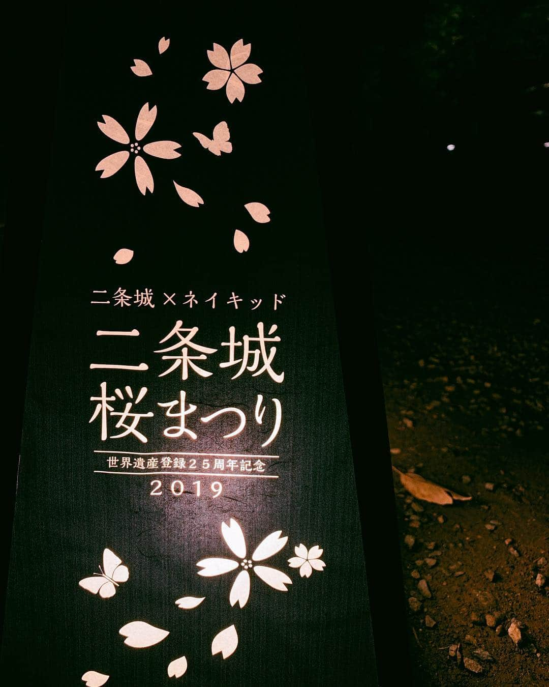 清水沙也佳さんのインスタグラム写真 - (清水沙也佳Instagram)「京都に帰ってきてすぐ、二条城桜まつりに行ってきたよ😛🌸 とっても人気だったけど、平日だからゆっくり写真も撮れたよ📸✨ 桜だけじゃなくて @naked_inc のイルミネーションがとっても綺麗だった♡♡ 4月14日(日)までだから是非行ってみてね🌸  #nakedimmersive #nakedinc #二条城 #二条城桜まつり #夜桜 #京都 #cherryblossom」4月2日 21時55分 - sayaka__shimizu