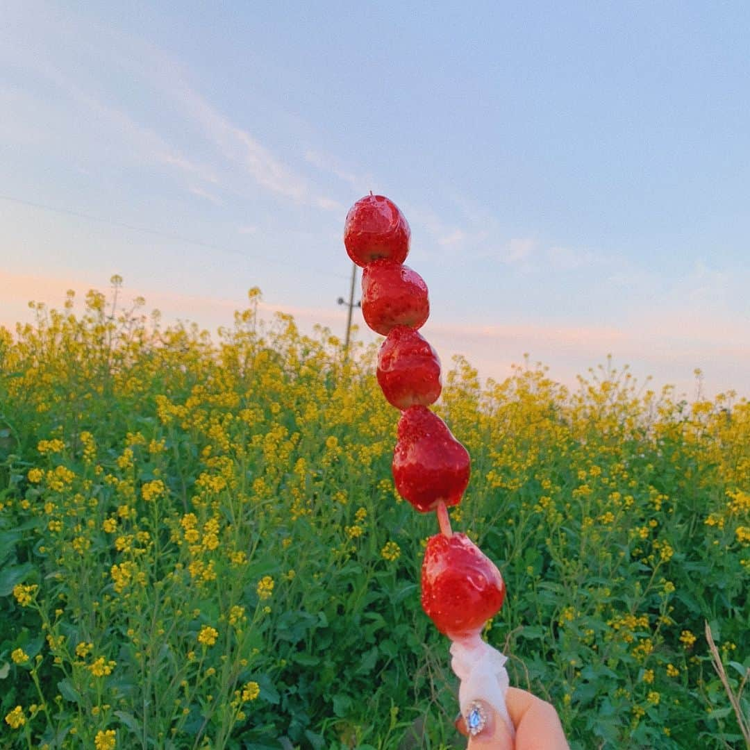 ホン・ヨンギさんのインスタグラム写真 - (ホン・ヨンギInstagram)「🍓🍡🍓」4月2日 21時55分 - kisy0729