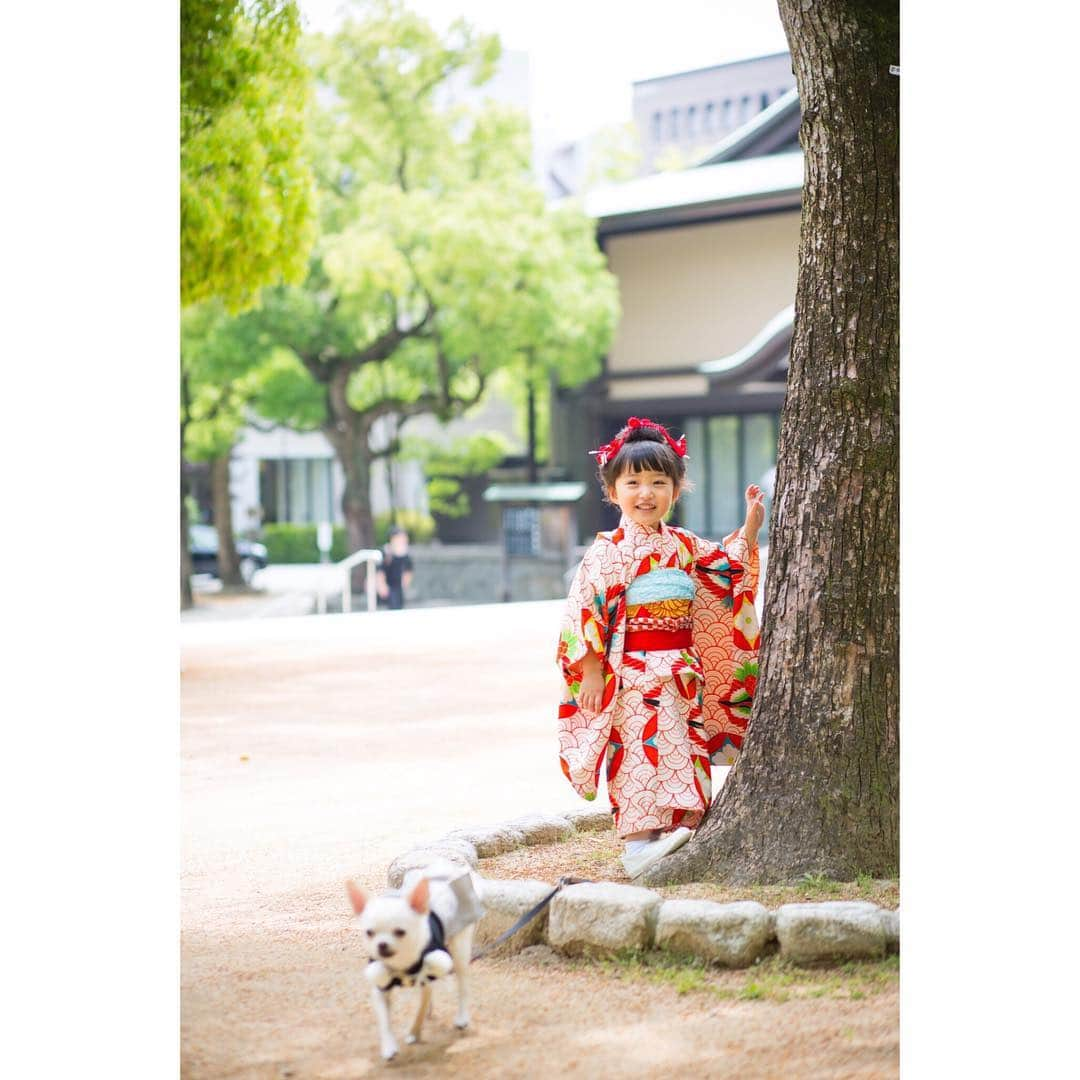 Kyooonさんのインスタグラム写真 - (KyooonInstagram)「April﻿ ﻿ 我が家もバタバタな新生活がはじまりました🌸﻿ ﻿ ﻿ 【令和】 1日経ってすごく良いと感じてきた✨﻿ どんな時代になるのかな。﻿ この子達が作っていく時代。 愛のある時代になるといいな☺️☺️♡﻿ ﻿ ﻿ 新元号も発表されて新年度1発目は、もうずいぶん前のだけどなんとなく笑顔全開のお着物の写真を選んでみた👘﻿ 残りわずかの平成も、新しい時代もこうしてたくさんたくさん笑って過ごそう☺️﻿ ﻿ ﻿ ﻿ そして新たに楽天ROOMに登録してみました✎*。七五三の髪飾りすごくたくさん質問いただいたので﻿ それも載せています☜☜☜質問のあったものとか使っているものなどマイペースに更新していきたいと思います✰*。﻿ 新時代！私もなにか新しいことに挑戦したいなぁ✨ #新年度#新元号#令和#4歳#アンティーク着物﻿#ROOMはプロフィールかストーリーからとべるようにしておきます↗️ ﻿ ﻿ ﻿」4月2日 22時12分 - fancykyon