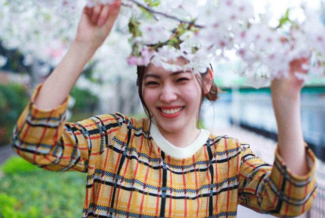 立石晴香さんのインスタグラム写真 - (立石晴香Instagram)「桜が写ってる写真からあげないとですね🌸  Have a sweet dreams⭐️ #instagood #spring #sakura #flower #camera」4月2日 22時08分 - haruka_tateishi