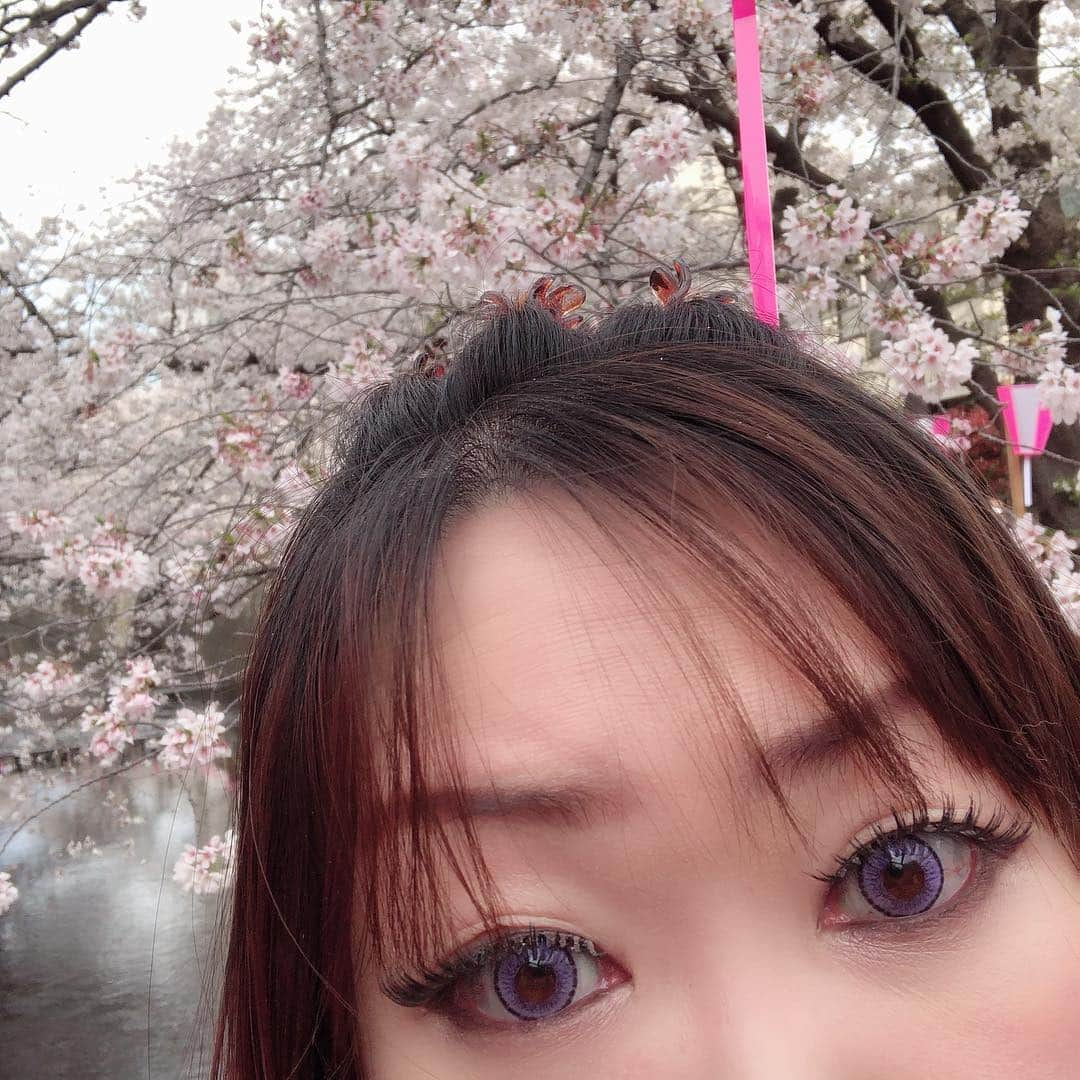 有奈めぐみさんのインスタグラム写真 - (有奈めぐみInstagram)「目黒川へ。渋谷から目黒川へは歩いて行ってみて。あのタモリさんも気になっていてタモリ倶楽部でご訪問した、マッパー聖地、日本地図センターが見えますよ～幼少期から当たり前にここにある光景。 #av  #熟女  #40歳  #風俗嬢  #渋谷  #目黒  #目黒川  #花見  #桜  #散歩  #日本地図センター  #通過  #タモリ倶楽部」4月2日 22時20分 - arina_megu