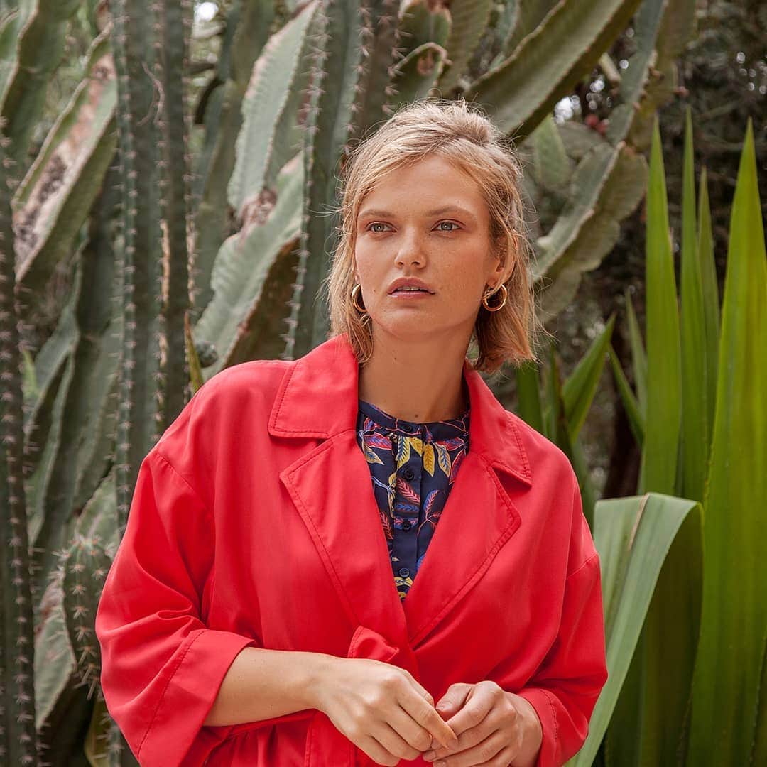 のインスタグラム：「Voyage, voyage ☀️🍃 J-1 Casual folk et souvenirs de vacances  Rendez-vous dès demain pour découvrir l'imprimé exclusif de notre nouvelle collection  #bensimon #casualfolk #feuillageexotique #savethedate」
