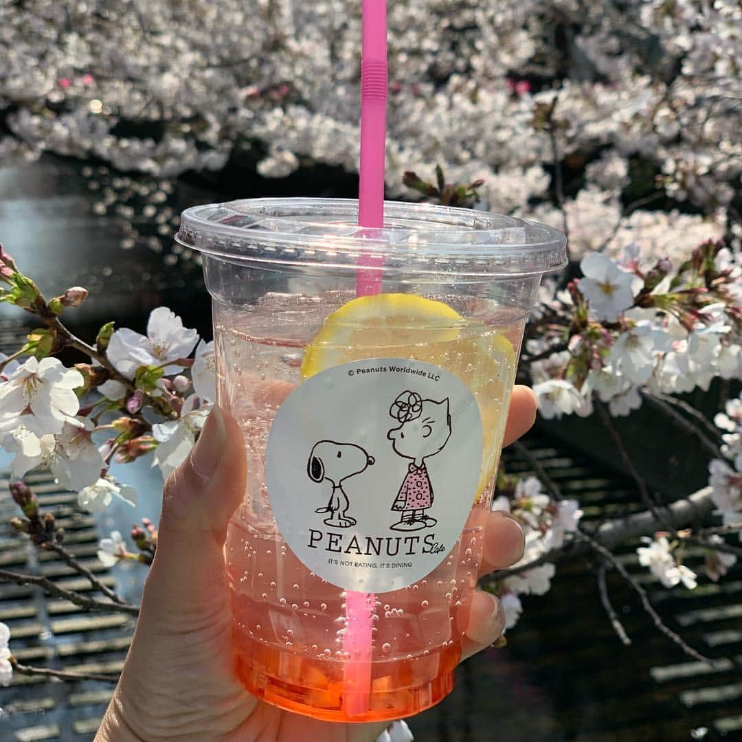 ピーナッツ カフェのグルメインスタ