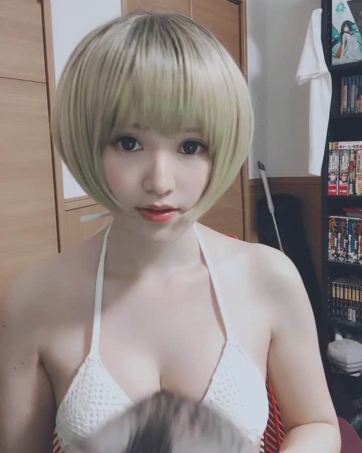 のインスタグラム：「猫ちゃんとご挨拶動画  #cat #catsofinstagram #catstagram #cats #cats_of_instagram #cats_of_world #猫 #猫がいる生活 #子猫 #子猫動画 #猫の握手会 #マンチカン #マンチカン子猫 #マンチカン短足 #munchkin #munchkincats #anime #animegirl #animejapan #animeworld #japan #japanesegirl #日本 #サブカル #漫画」