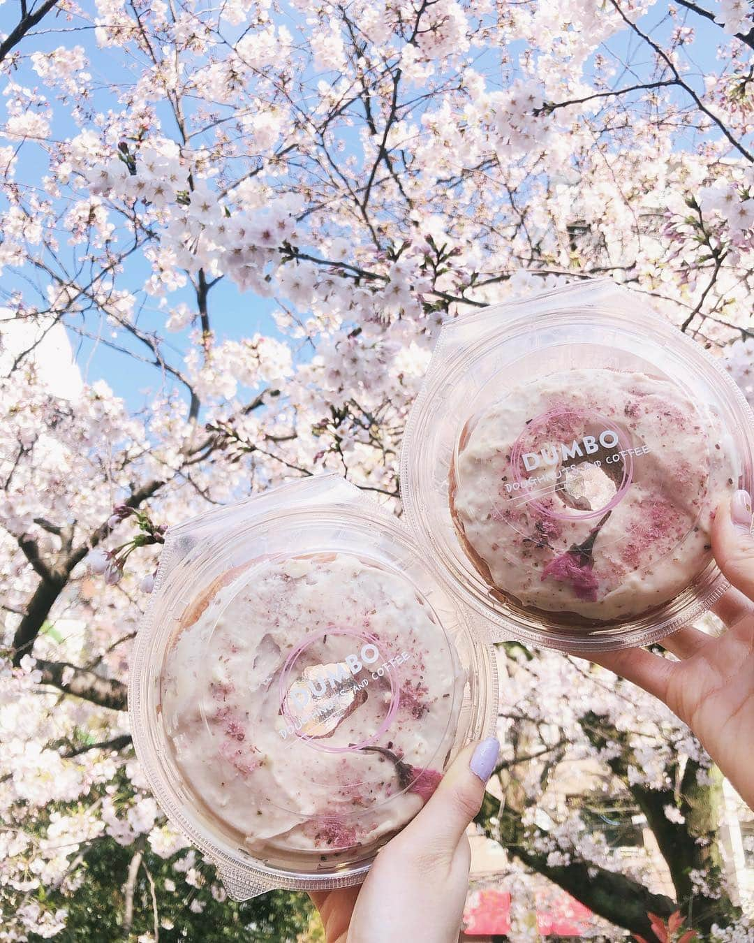 谷口めぐさんのインスタグラム写真 - (谷口めぐInstagram)「桜×サクラドーナツ＝美味。🌸 #dumbo #dumbodoughnutsandcoffee  #サクラドーナツ #サクラ #ドーナツ #カフェ」4月2日 22時25分 - o_megu1112