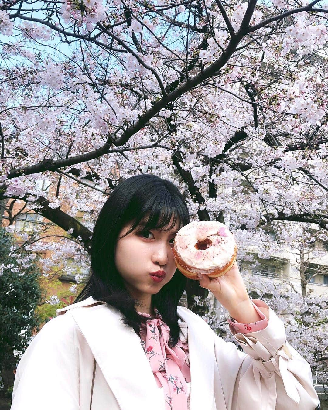 谷口めぐさんのインスタグラム写真 - (谷口めぐInstagram)「桜×サクラドーナツ＝美味。🌸 #dumbo #dumbodoughnutsandcoffee  #サクラドーナツ #サクラ #ドーナツ #カフェ」4月2日 22時25分 - o_megu1112