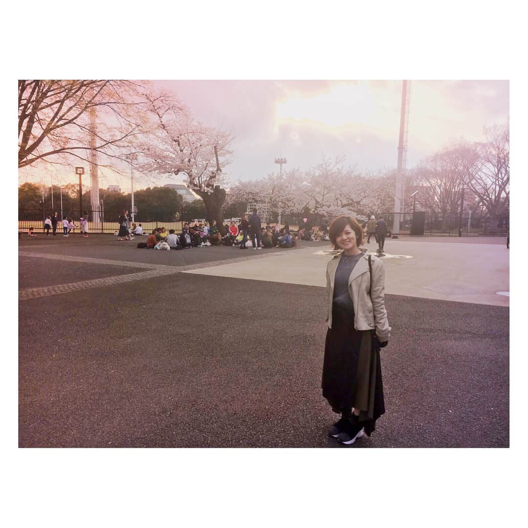 のインスタグラム：「おこんばんみ🌸🌸🌸 ❤︎ ❤︎ だいすき、桜。また会えたね。 ❤︎ ❤︎ 【ラインライブ告知】 2019/4/4(木) 「ラインライブ...最終回...？」 19:00ごろ配信スタート！(30〜45min予定) ▶️ https://live.line.me/channels/39123  #AIMI#桜#代々木公園」