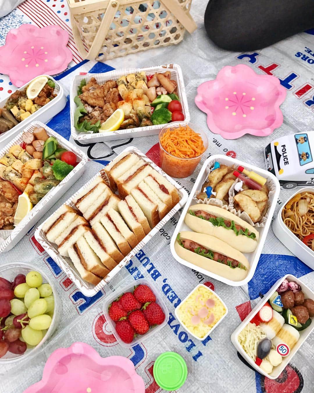 ティファニー春香さんのインスタグラム写真 - (ティファニー春香Instagram)「. 念願のピクニック🌭🍽 まだまだ寒いけど、お外で食べるお弁当は やっぱり格別に美味しいな🍙デザートは、 シフォンケーキ。母のお誕生日を皆でお祝い🎂🎉 いつまでも元気で若々しいママ👩‍👧✨ 素敵な歳になりますように！ #ピクニック #春 #桜」4月2日 22時36分 - tiffanyharuka