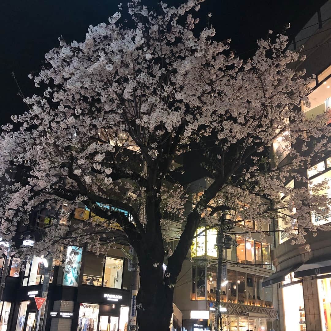 Kensho Onukiのインスタグラム