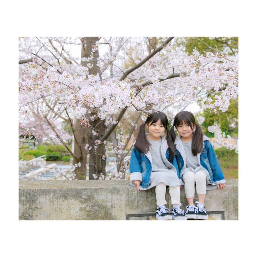 Yukiさんのインスタグラム写真 - (YukiInstagram)「4月もよろしくお願いします🌸🌸 まだすこし涼しい日もありますが今年は桜🌸も長く楽しめて嬉しい♡  あたたかくなるのがたのしみです💓 * *  先日、お友達が撮ってくれた写真が素敵で見入っちゃう💓💓 長女は相変わらず、ずっと走り回ってましたw  前半はお友達、後半は私が撮ったもの😂🙌💓 @photosmile04  自由が丘のスタジオでも📸お仕事されてるので やっぱりきれい〜👏🏻✨ 私も見習ってまた少しずつ📸学びたいなぁ(o^^o)♪♪ * *  onepiece → @gu_for_all_  shoes → @vansjapan  #楽天ROOMに載せてます」4月2日 22時40分 - yukikuu96