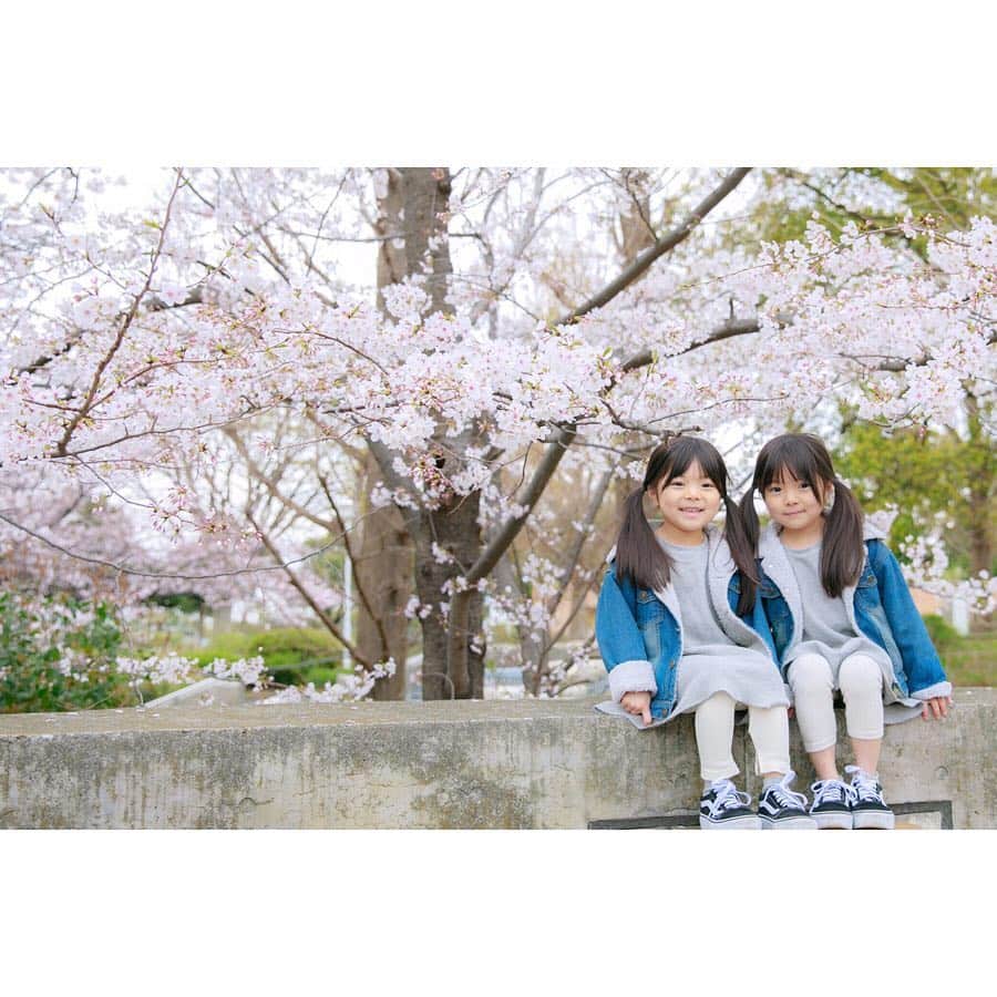 Yukiさんのインスタグラム写真 - (YukiInstagram)「4月もよろしくお願いします🌸🌸 まだすこし涼しい日もありますが今年は桜🌸も長く楽しめて嬉しい♡  あたたかくなるのがたのしみです💓 * *  先日、お友達が撮ってくれた写真が素敵で見入っちゃう💓💓 長女は相変わらず、ずっと走り回ってましたw  前半はお友達、後半は私が撮ったもの😂🙌💓 @photosmile04  自由が丘のスタジオでも📸お仕事されてるので やっぱりきれい〜👏🏻✨ 私も見習ってまた少しずつ📸学びたいなぁ(o^^o)♪♪ * *  onepiece → @gu_for_all_  shoes → @vansjapan  #楽天ROOMに載せてます」4月2日 22時40分 - yukikuu96