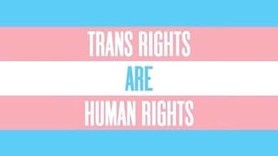 コビー・スマルダーズのインスタグラム：「#transrightsarehumanrights」