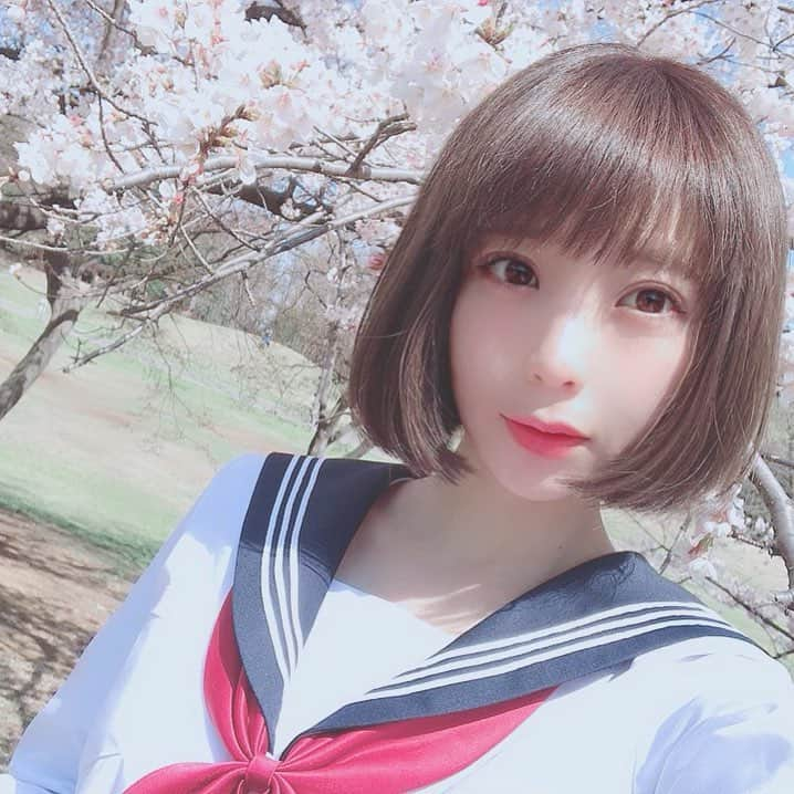 秋山依里さんのインスタグラム写真 - (秋山依里Instagram)「♡﻿﻿ ﻿﻿ 朝から撮影でした🌸🌸🌸 昨日髪切りました✂︎‬‪✂︎‬‪✂︎‬ ﻿ #🌸 #桜 #cherryblossom #コスプレ #コスプレイヤー #被写体 #制服 #セーラー服 #セーラー #水手服 #세라복 #highschoolgirl #sailorcosplay #sailorfuku #sailoruniform #cosplay #cosplaygirl #cosplayer #cosplayphoto #cosplayofinstagram #cosplayselfie #selfie #model #自撮り #コスプレイヤー自画撮り部 #코스프레 #角色扮演 #ボブ #newhair #いつかのあきやまさん」4月2日 23時13分 - akiyama__eri