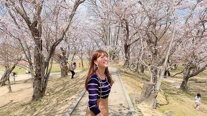 高沢奈苗さんのインスタグラム写真 - (高沢奈苗Instagram)「. 桜🌸🌸🌸 . ピンク一面で街が明るくなるね〜♡ . 桜並木は歩いているだけで癒される☺️🌸 春の音楽と共にっ🎵 . . 桜と合わせてイヤホンもピンクで🎧 @sudio 💓 . かわいいワイヤレスイヤホンを頂きました💛 . 使わないときは首からぶら下げられるおしゃれな北欧デザインのもの😊💓 . 14gと軽量ながらバッテリーは9時間持ちます😊 . 音もクリアで綺麗だしオススメ❣️ . . 今なら公式サイトにて商品を15％OFFでご購入いただける15％OFFクーポン( nanae15 ）←こちらを入力  があるので、良かったらぜひご利用ください😃 . また、4月30日までイヤホンをお買い上げの方には、無料でポーチをプレゼントしてるそうです！ キャンペーン期間は在庫がなくなり次第終了となるのでお早めに^ ^ . , しかーし、今日はめちゃくちゃ寒いぃぃ〜😂❄️ . . . Thank you @sudio #PR #sudio #sudiomoment #music #スーディオ #ワイヤレスイヤホン #桜 #桜並木 #風強め #風冷ため」4月2日 23時11分 - nanaetakasawa