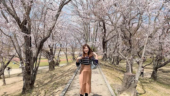 高沢奈苗さんのインスタグラム写真 - (高沢奈苗Instagram)「. 桜🌸🌸🌸 . ピンク一面で街が明るくなるね〜♡ . 桜並木は歩いているだけで癒される☺️🌸 春の音楽と共にっ🎵 . . 桜と合わせてイヤホンもピンクで🎧 @sudio 💓 . かわいいワイヤレスイヤホンを頂きました💛 . 使わないときは首からぶら下げられるおしゃれな北欧デザインのもの😊💓 . 14gと軽量ながらバッテリーは9時間持ちます😊 . 音もクリアで綺麗だしオススメ❣️ . . 今なら公式サイトにて商品を15％OFFでご購入いただける15％OFFクーポン( nanae15 ）←こちらを入力  があるので、良かったらぜひご利用ください😃 . また、4月30日までイヤホンをお買い上げの方には、無料でポーチをプレゼントしてるそうです！ キャンペーン期間は在庫がなくなり次第終了となるのでお早めに^ ^ . , しかーし、今日はめちゃくちゃ寒いぃぃ〜😂❄️ . . . Thank you @sudio #PR #sudio #sudiomoment #music #スーディオ #ワイヤレスイヤホン #桜 #桜並木 #風強め #風冷ため」4月2日 23時11分 - nanaetakasawa