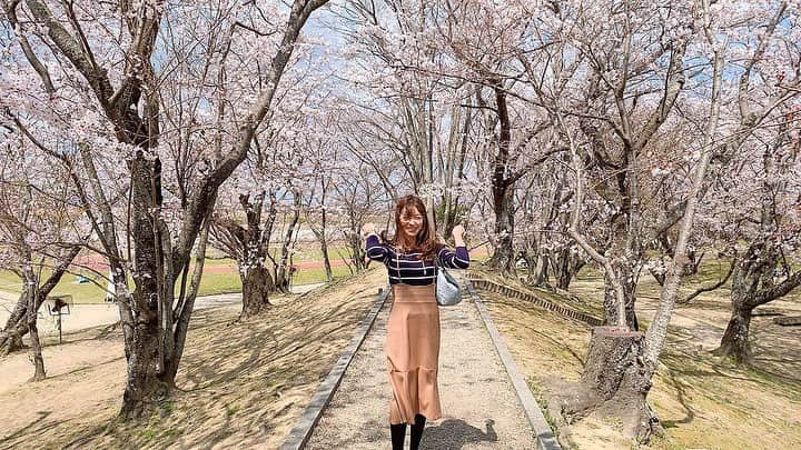 高沢奈苗さんのインスタグラム写真 - (高沢奈苗Instagram)「. 桜🌸🌸🌸 . ピンク一面で街が明るくなるね〜♡ . 桜並木は歩いているだけで癒される☺️🌸 春の音楽と共にっ🎵 . . 桜と合わせてイヤホンもピンクで🎧 @sudio 💓 . かわいいワイヤレスイヤホンを頂きました💛 . 使わないときは首からぶら下げられるおしゃれな北欧デザインのもの😊💓 . 14gと軽量ながらバッテリーは9時間持ちます😊 . 音もクリアで綺麗だしオススメ❣️ . . 今なら公式サイトにて商品を15％OFFでご購入いただける15％OFFクーポン( nanae15 ）←こちらを入力  があるので、良かったらぜひご利用ください😃 . また、4月30日までイヤホンをお買い上げの方には、無料でポーチをプレゼントしてるそうです！ キャンペーン期間は在庫がなくなり次第終了となるのでお早めに^ ^ . , しかーし、今日はめちゃくちゃ寒いぃぃ〜😂❄️ . . . Thank you @sudio #PR #sudio #sudiomoment #music #スーディオ #ワイヤレスイヤホン #桜 #桜並木 #風強め #風冷ため」4月2日 23時11分 - nanaetakasawa