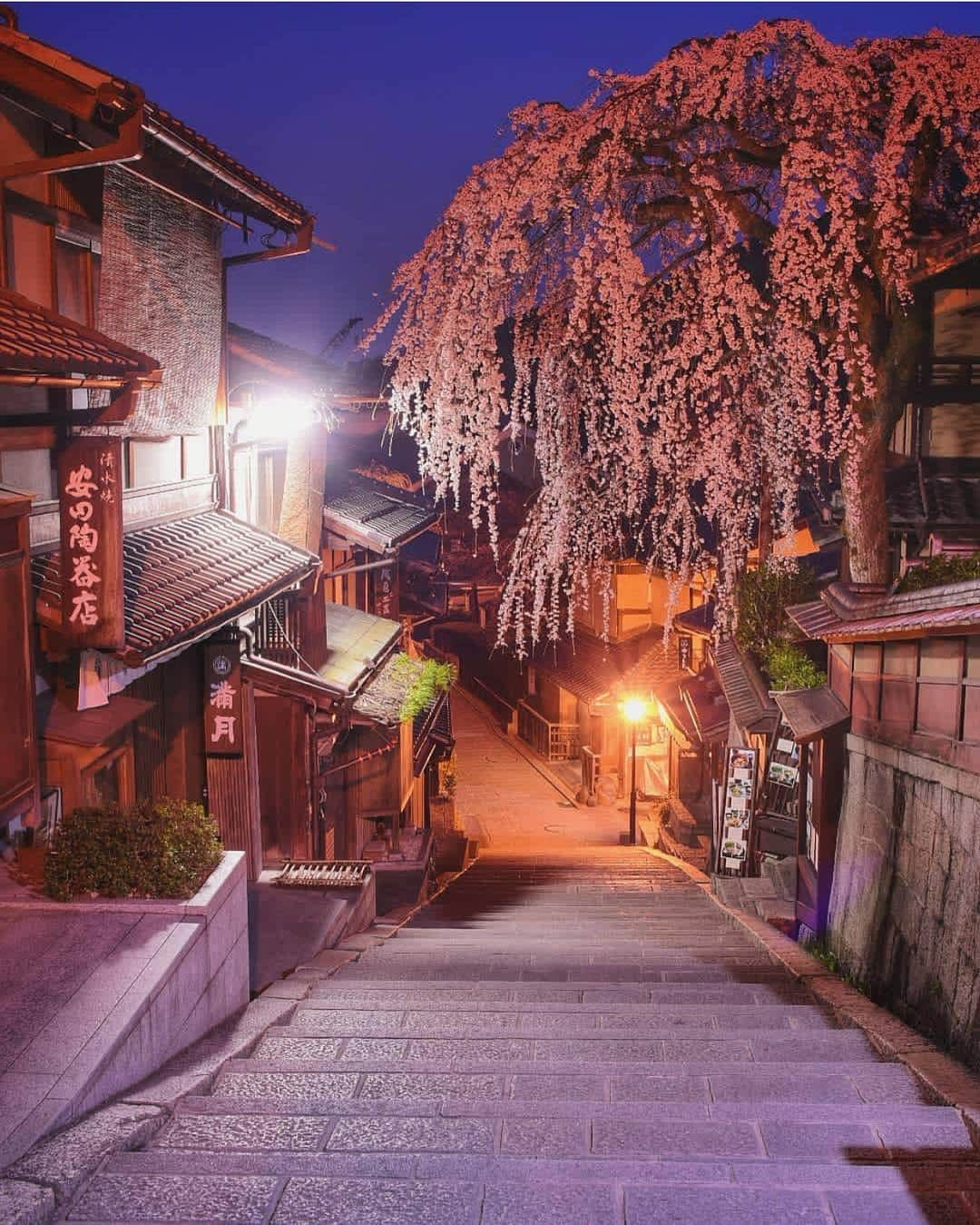 Wonderful Placesさんのインスタグラム写真 - (Wonderful PlacesInstagram)「Kyoto - Japan ✨🌸🌸🌸✨ . Picture by ✨✨@ui_hiii618love✨✨ #wonderful_places for a feature 💖」4月2日 23時16分 - wonderful_places