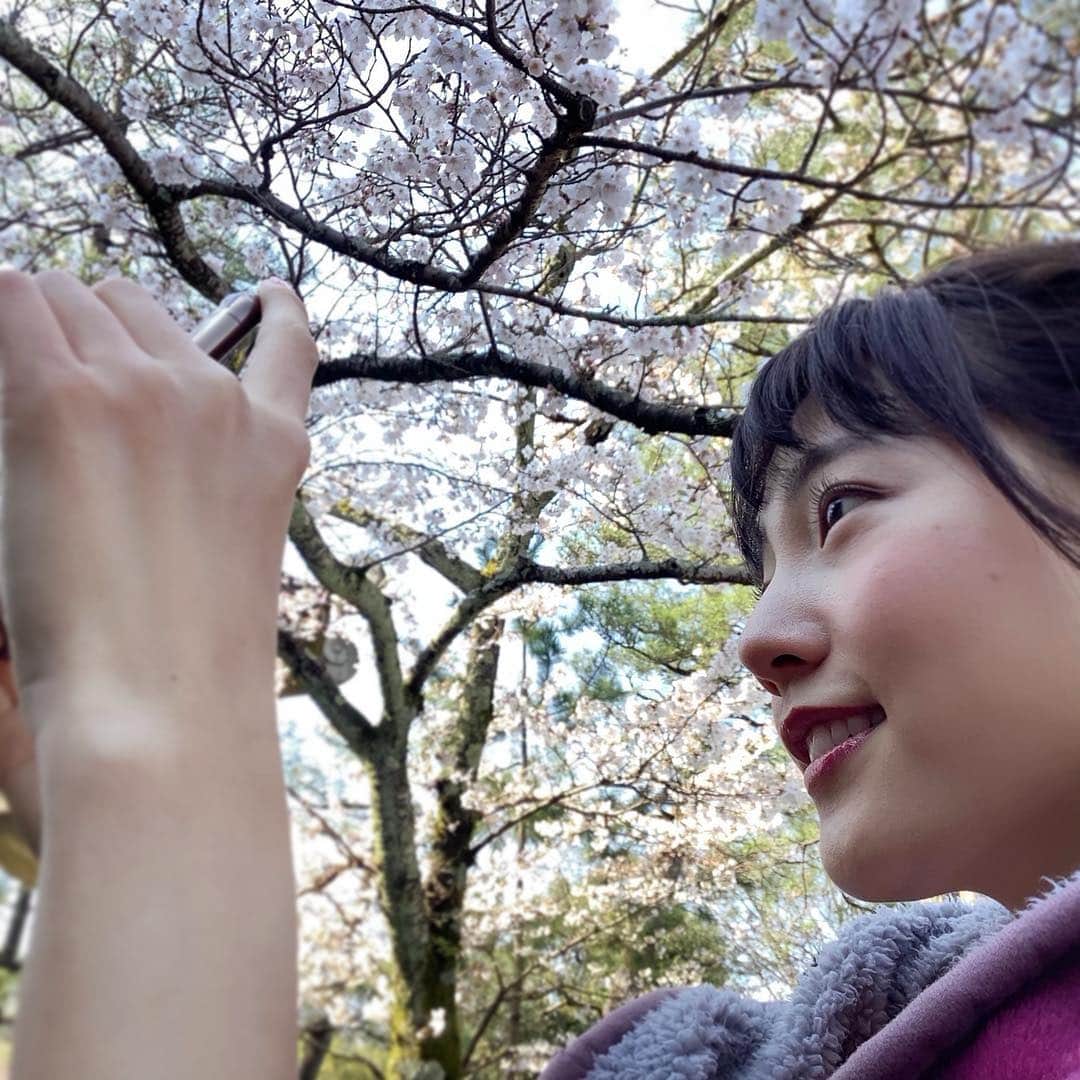 中川可菜さんのインスタグラム写真 - (中川可菜Instagram)「🌸🌸🌸📷✨👀 ㅤ #桜 #さくら #🌸 #京都 #sakura #japanesecherryblossom #cherryblossom #kyoto #japan」4月2日 23時39分 - nakagawa_kana