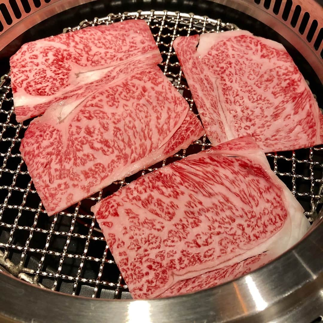 箕輪玖美さんのインスタグラム写真 - (箕輪玖美Instagram)「昨夜は『日本焼肉 はせ川 表参道店』のオープニングレセプションにご招待いただきました✨  落ち着いた店内で戴く、日本料理と焼肉の融合コースは絶品 ❤️ 個室もあるので、静かにお食事を楽しみたい方にもおススメです😊  #日本焼肉はせ川表参道店4月3日open  #日本焼肉はせ川  #グルメ #表参道 #焼肉 #日本料理 #肉食女子 #焼肉好きな人と繋がりたい  #ラグジュアリー #シャンパーニュ #アラフィフモデル箕輪玖美 #モデル #tokyo #omotesando」4月2日 23時40分 - kumi.111