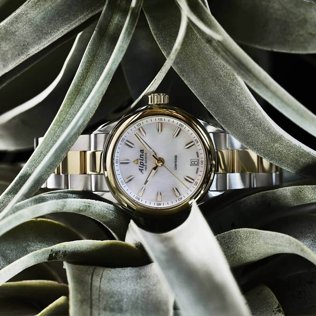 アルピナさんのインスタグラム写真 - (アルピナInstagram)「This year #AlpinaWatches moves to enrich its most emblematic ladies’ collection, the #AlpinaComtesse, adding a touch of elegance reflected by its finely crafted mother of pearl dials and diamond detailing !  Introduced during Baselworld 2019, the four new COMTESSE timepieces, available either in stainless steel or in yellow gold-plated stainless steel, feature a 34mm diameter case, which sits lightly on the wrist and sports an ultra-strong, scratch-resistant sapphire crystal. #BaselWorld2019」4月2日 23時41分 - alpinawatches