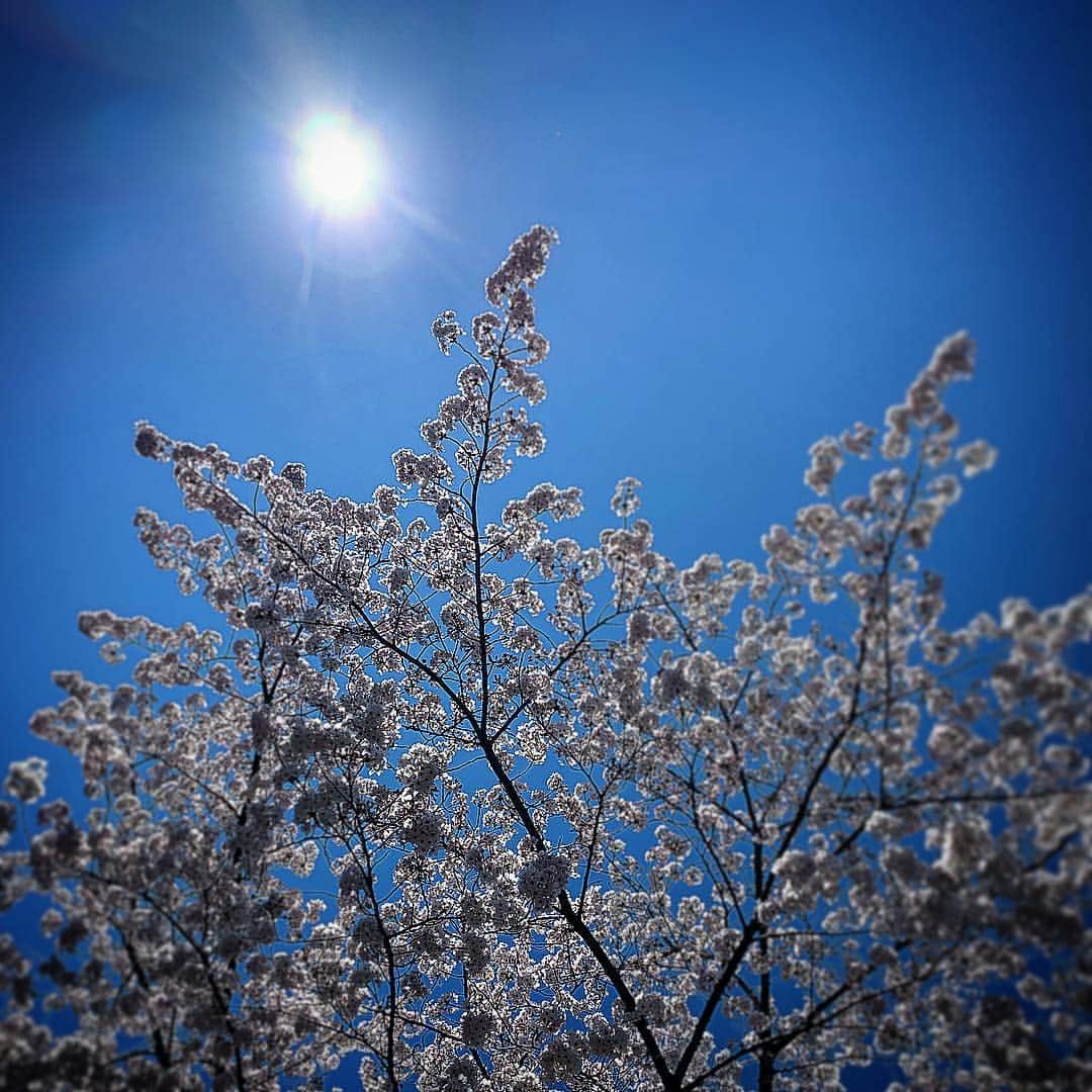 今野浩喜さんのインスタグラム写真 - (今野浩喜Instagram)4月2日 23時44分 - comnohiroki