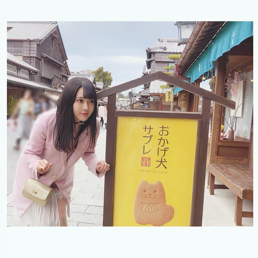 高井つき奈さんのインスタグラム写真 - (高井つき奈Instagram)「いっぬ。 . #おかげ横丁 #伊勢神宮 #おかげ犬」4月2日 23時55分 - tsukinatakai