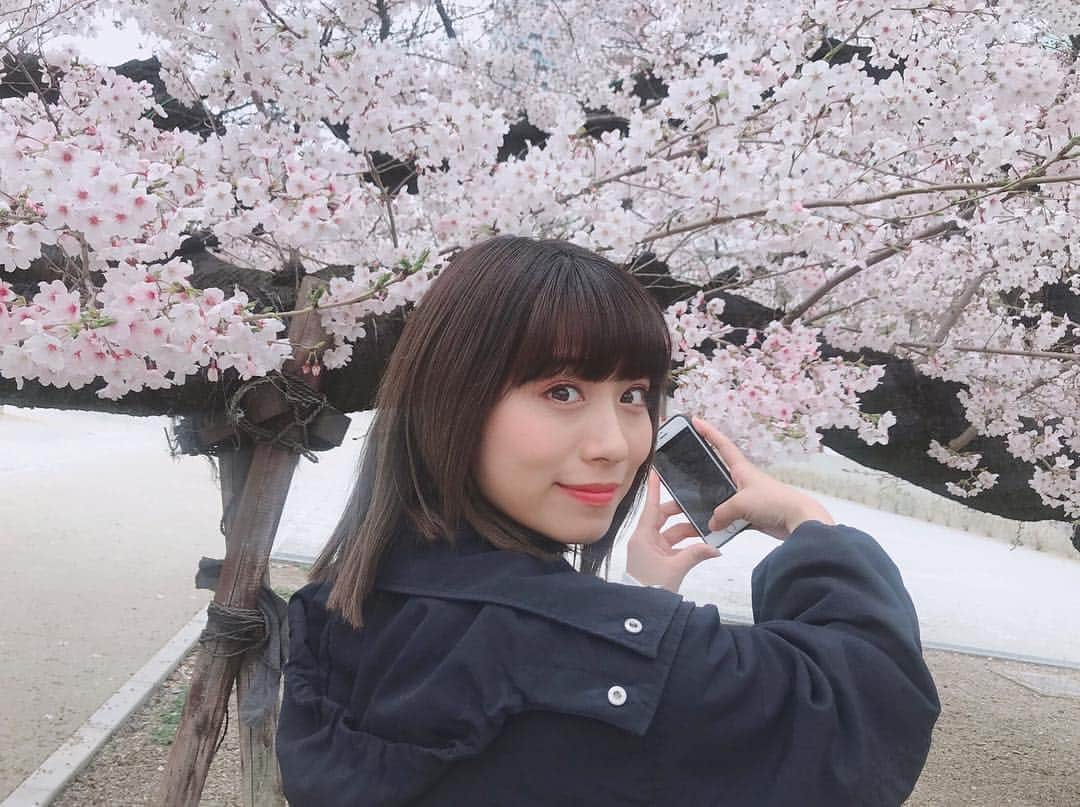 坂本遥奈さんのインスタグラム写真 - (坂本遥奈Instagram)「桜と🌸 あ〜〜お花見したい🍡 桜の下でお弁当食べたい🍙🍙 ツアーまであと4日！ わくわくどきどきとまらんね(^^) #桜#🌸 #東別院 #花見」4月3日 0時03分 - haruna_sakamoto_official