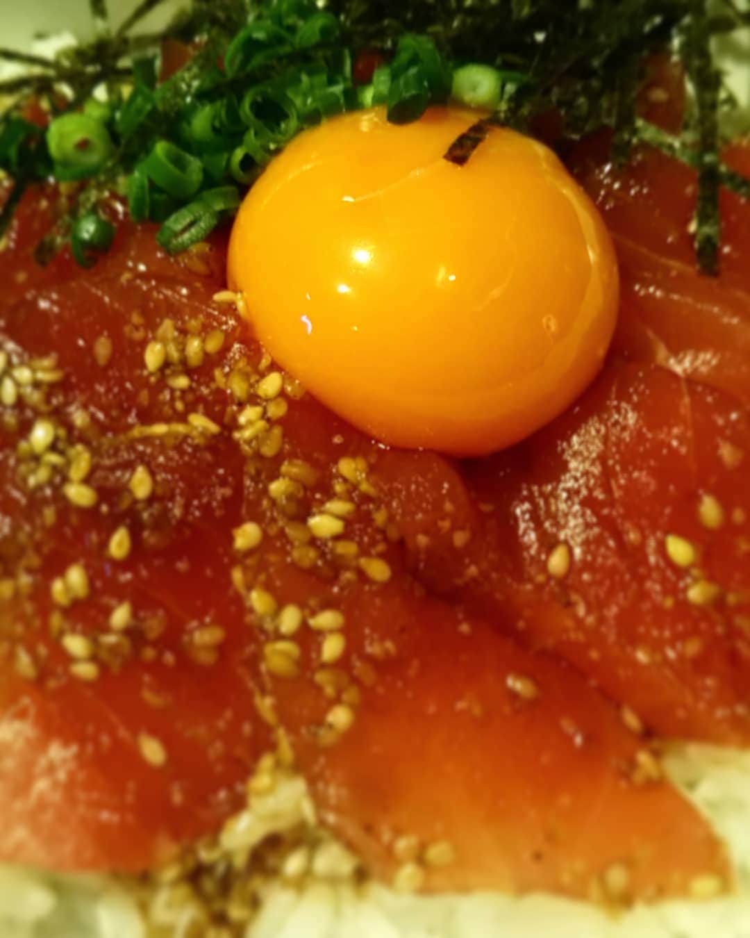 九州うまか 北浜店のインスタグラム：「まぐろの日向丼なのですが、いささかアップで撮りすぎたみたいですよ。  #九州うまか#九州うまか北浜店#北浜#淀屋橋#天満橋#京橋#肥後橋#堺筋本町#大阪#大阪グルメ#居酒屋#日本酒#焼酎#純米#泳ぎイカ#もつ鍋#九州料理#九州#博多#福岡#鹿児島#宮崎#佐賀#長崎#大分#熊本#肉#まぐろ#日向丼」