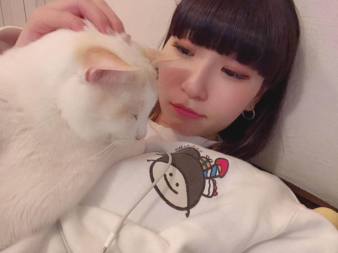 ピンキー！☆藤咲彩音さんのインスタグラム写真 - (ピンキー！☆藤咲彩音Instagram)「甘えん坊さん。よしよし。 #きょうのカナル #トレーナーのイラストの主張の強さ」4月3日 0時19分 - pinky_ayane