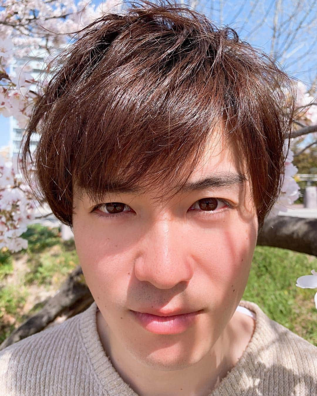 橋本あかねさんのインスタグラム写真 - (橋本あかねInstagram)「ファンキー・モンキー・ベイビーズのジャケ写風。」4月3日 0時20分 - akane_h211