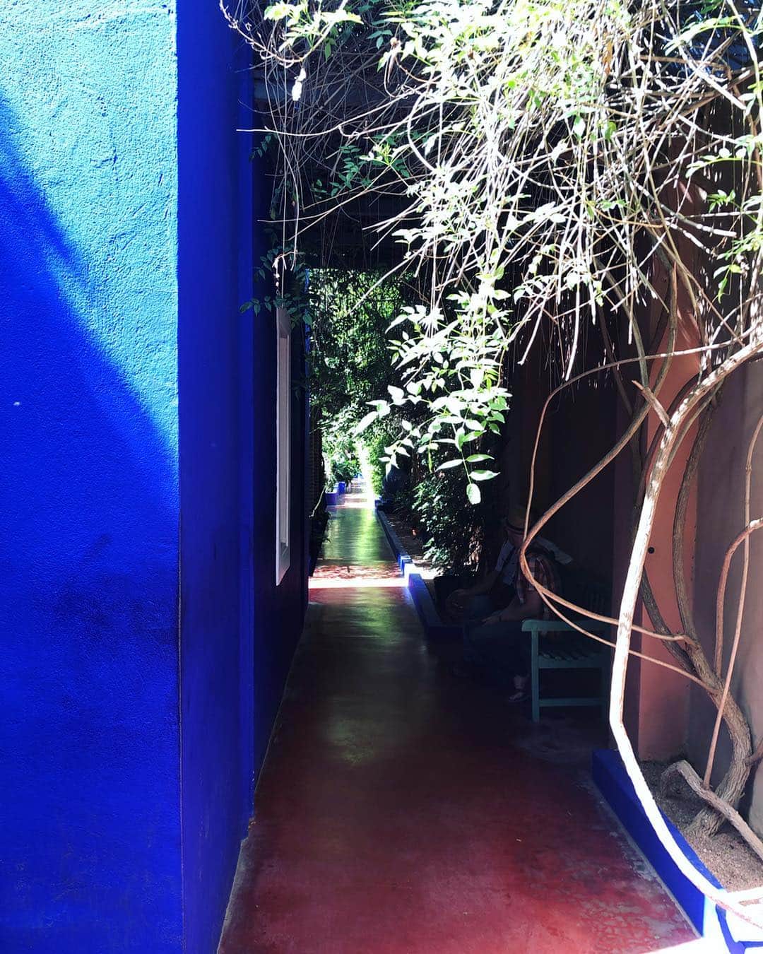 イマン・アブドゥルマジドさんのインスタグラム写真 - (イマン・アブドゥルマジドInstagram)「At the YSL boutique in the Majorelle Garden. In 1924 the French artist Jacques Majorelle constructed his largest art work, the Majorelle Garden in Marrakesh, Morocco, and painted the garden walls, fountains, features and villa in this very intense shade of blue, for which he trademarked the name Majorelle Blue. #DestinationIMAN」4月3日 0時58分 - the_real_iman