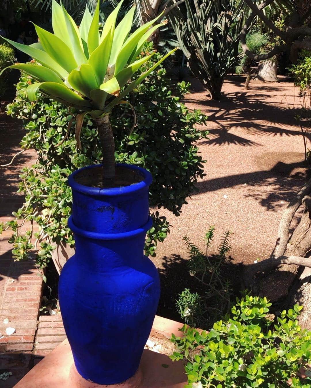 イマン・アブドゥルマジドさんのインスタグラム写真 - (イマン・アブドゥルマジドInstagram)「At the YSL boutique in the Majorelle Garden. In 1924 the French artist Jacques Majorelle constructed his largest art work, the Majorelle Garden in Marrakesh, Morocco, and painted the garden walls, fountains, features and villa in this very intense shade of blue, for which he trademarked the name Majorelle Blue. #DestinationIMAN」4月3日 0時58分 - the_real_iman
