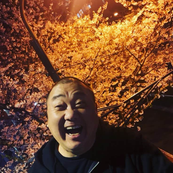 山本圭壱さんのインスタグラム写真 - (山本圭壱Instagram)「あはは あはは あはは #チェリーブロッサム #山本圭壱 #渋谷橋の陸橋ざくら」4月3日 1時04分 - yamamogt