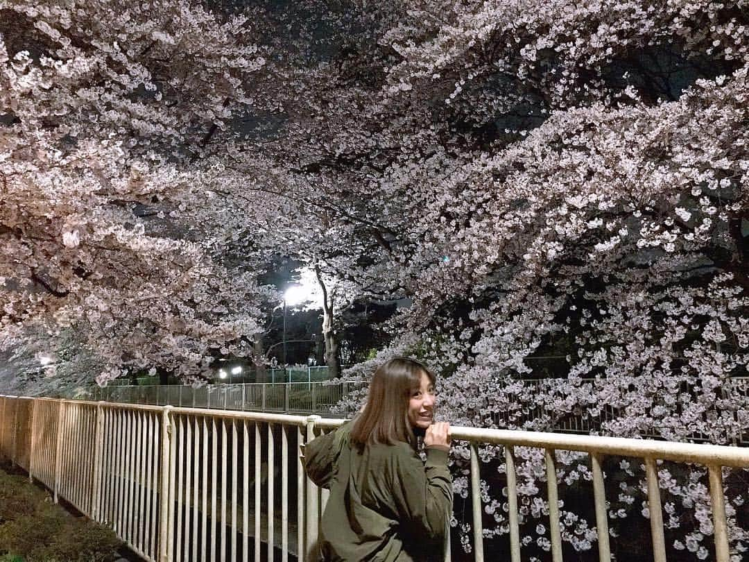 本橋優華さんのインスタグラム写真 - (本橋優華Instagram)「夜桜見、満開。 都心もいいけど、近所で静かにお花見もいいよ🌸 きれいだし、たのしいし！ #ohanami#sakura#spring#flower#cherryblossom#beautiful#goodnight#tokyo#japan #お花見#夜桜#🌸」4月3日 1時20分 - uk_jp