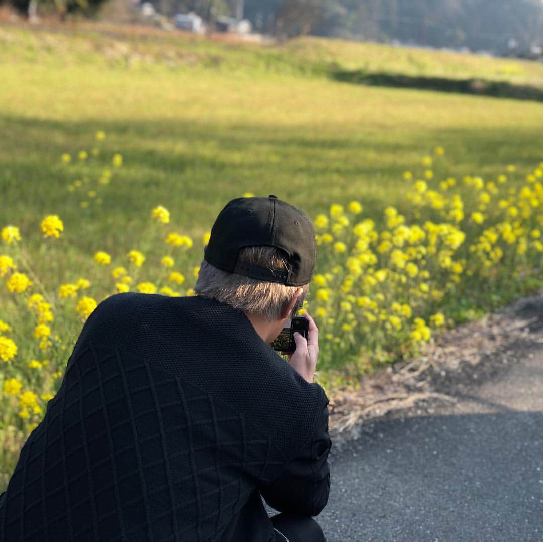 田村淳さんのインスタグラム写真 - (田村淳Instagram)「菜の花咲き誇る」4月3日 1時26分 - atsushilb