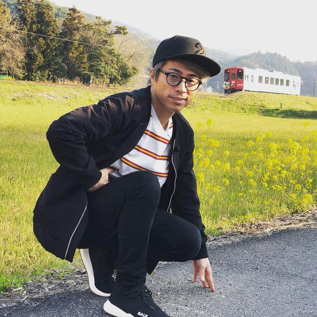田村淳のインスタグラム：「菜の花咲き誇る」