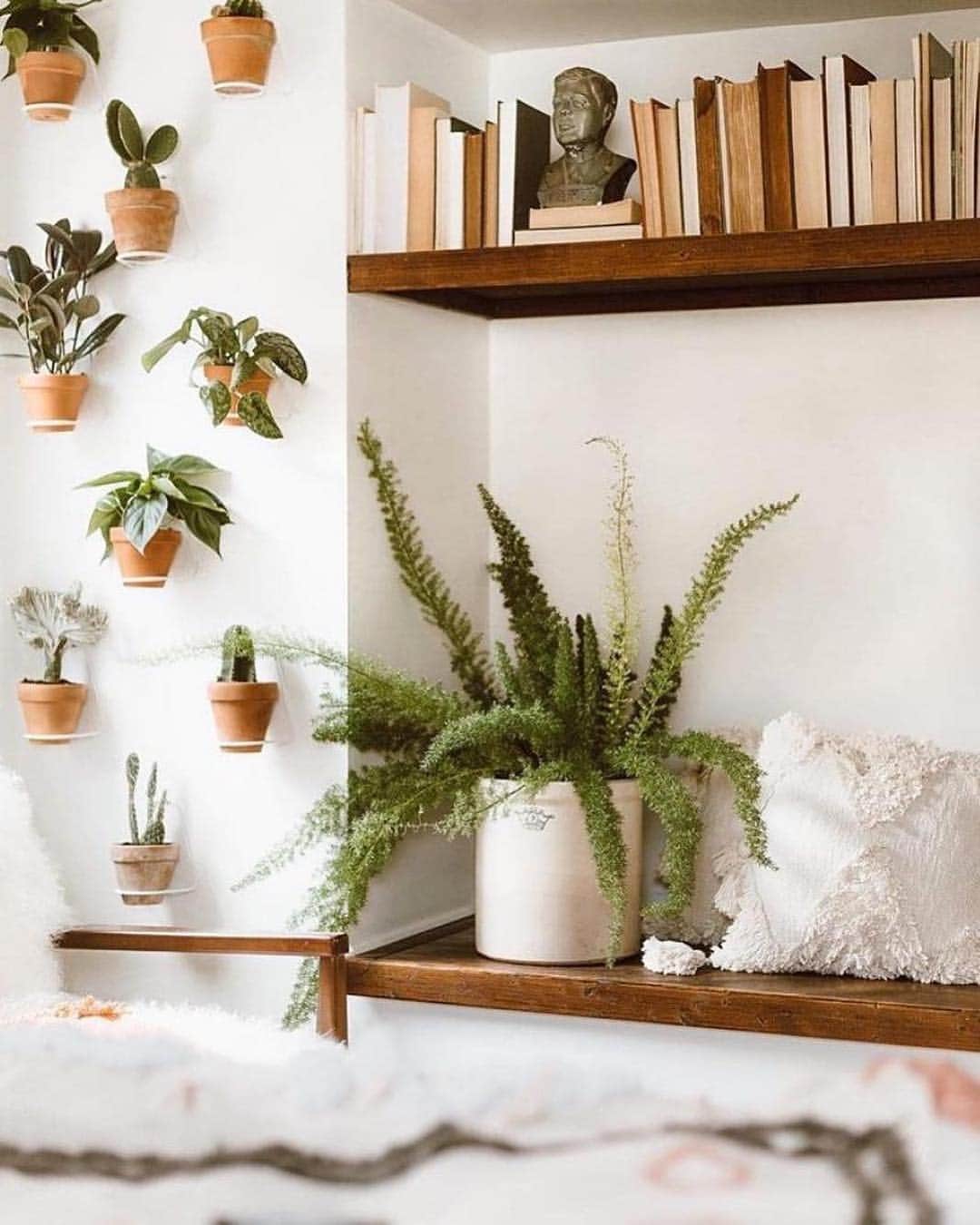 Urban Outfittersさんのインスタグラム写真 - (Urban OutfittersInstagram)「More! Plants! Always! #UOHome via @_forthehome @UrbanOutfittersHome」4月3日 1時34分 - urbanoutfitters