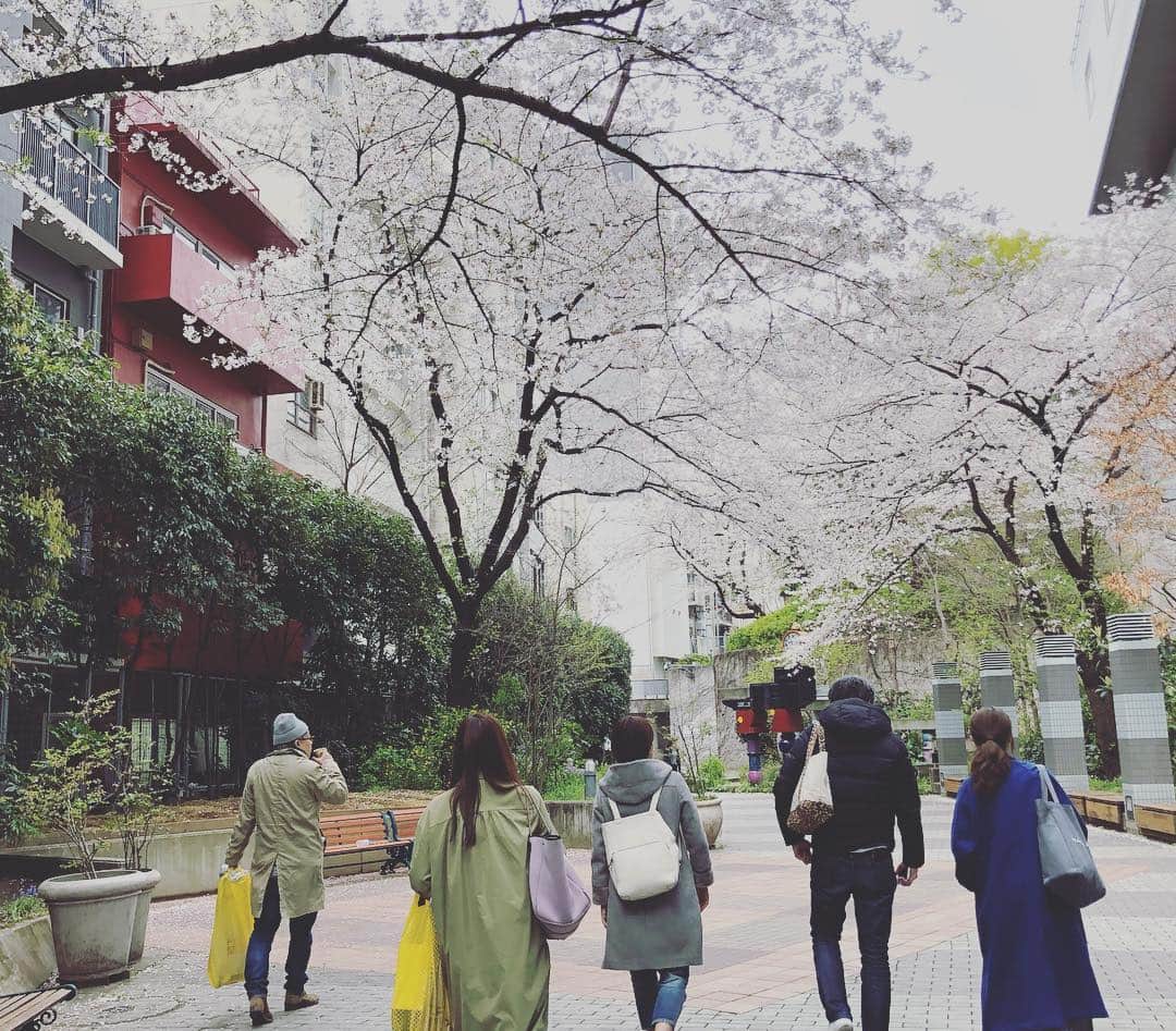 TBSラジオ「たまむすび」さんのインスタグラム写真 - (TBSラジオ「たまむすび」Instagram)「鹿児島でゴーカート🚙乗りながら花見をした珠ちゃん！鹿児島に縁のある山ちゃんに報告。  今日から8年目突入💨番組が始まった時と比べると山里さん、スリム！！！ 😎  放送後、赤江さんとスタッフでお花見🌸行ってきました。  #tama954 #たまむすび #赤江珠緒 #山里亮太 #鹿児島 #お花見 #桜 #たまむすびは8年目に突入 #これからもよろしくお願いします #tbsラジオ」4月3日 1時58分 - tamamusubi905954