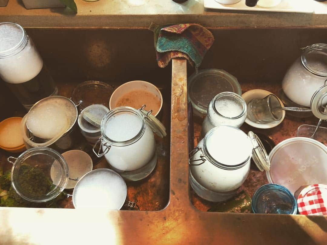 メイム・ビアリクさんのインスタグラム写真 - (メイム・ビアリクInstagram)「The festive holiday of #Passover which celebrates the Jews’ liberation from oppression and slavery begins in less than a month. This means it’s time to clean out the pantry and the cupboards and find all of the things that were hiding that we are ready to get rid of. Literally. Figuratively. Spiritually. Let the cleansing and cleaning begin! 🧼 #pesach2019」4月3日 1時56分 - missmayim