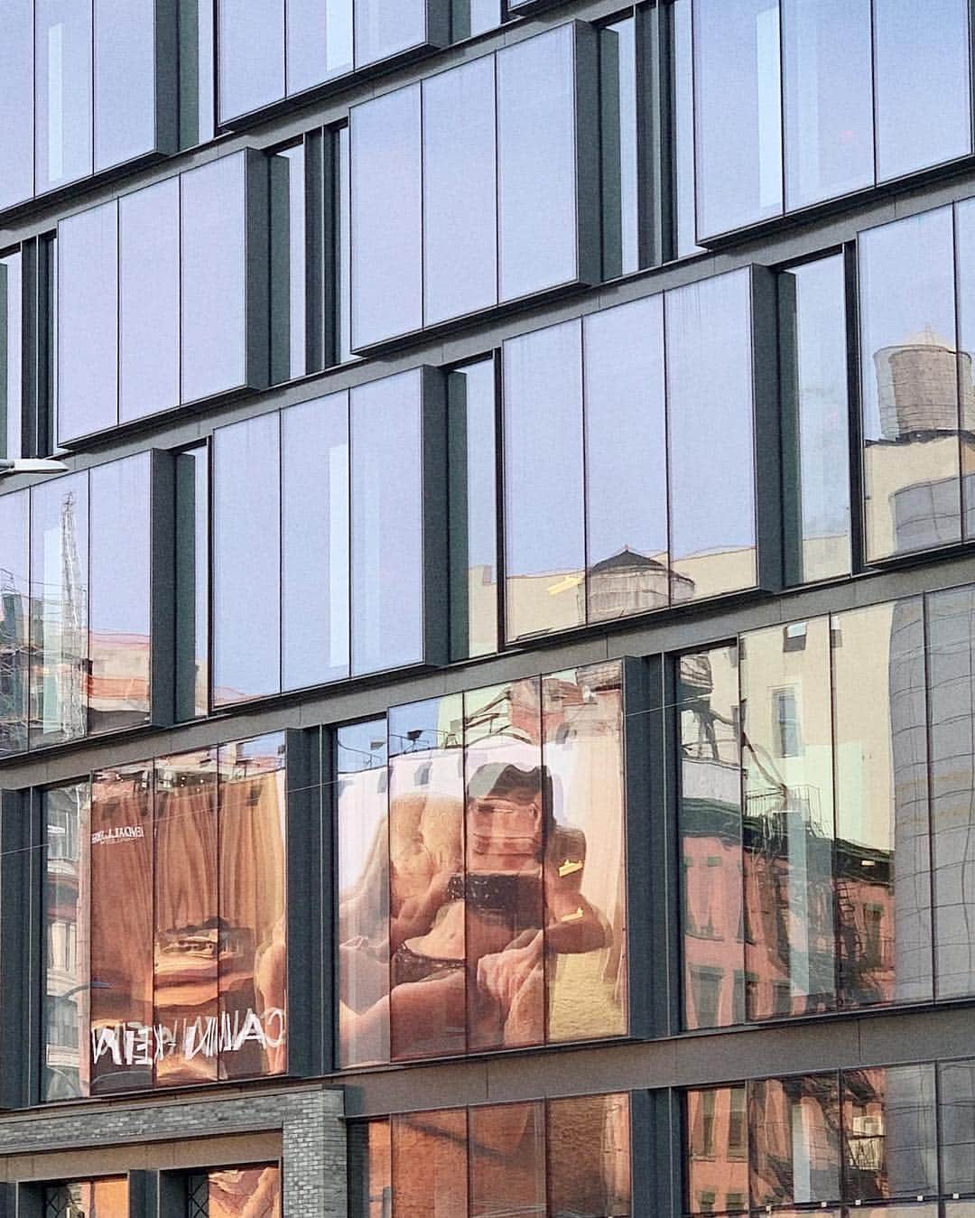 Reed Reederのインスタグラム：「✨」