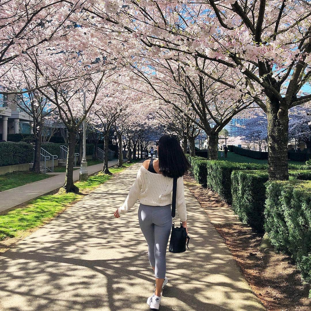 MayaTさんのインスタグラム写真 - (MayaTInstagram)「Cherry blossoms everywhere🌸🌸🌸 #myneighbourhood」4月3日 2時28分 - mayat_official