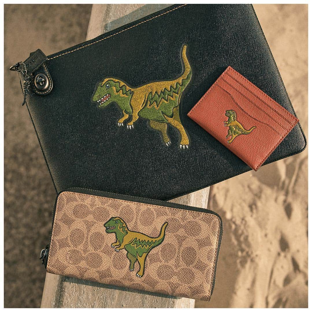 のインスタグラム：「Dino-mite accessories to hold the things that make you, you. #RexyTheCoachDino #CoachNY」