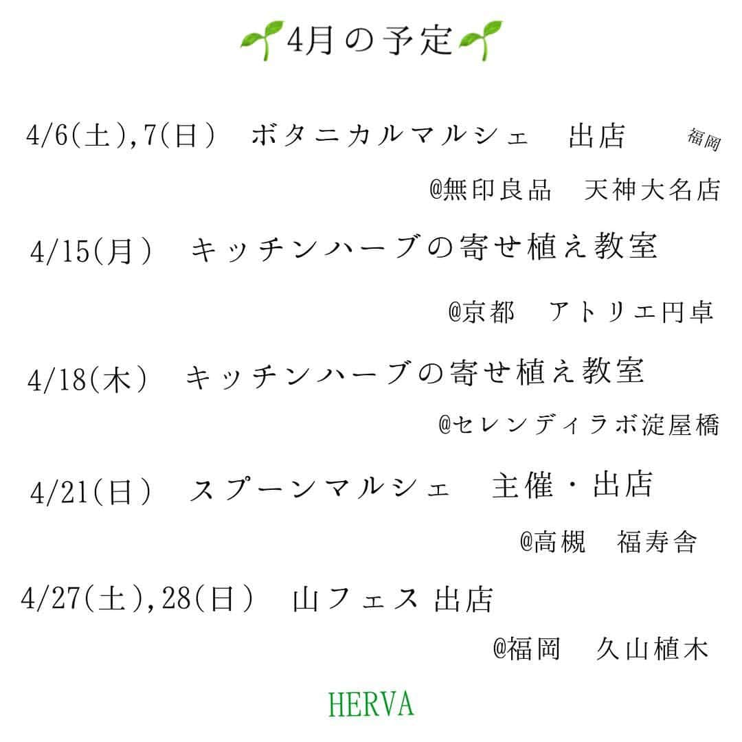 HERVA AKICOさんのインスタグラム写真 - (HERVA AKICOInstagram)「春ですね、  HERVA もそろそろ活動的に。 4月、5月はイベント盛りだくさんです。  わくわくするイベントや私の1番ベースにある、育てて楽しむ、食べる！ハーブの寄せ植えを数カ所で教室開催します。  今週末は、福岡天神でボタニカルマルシェ開催です🌱  問い合わせはDMもしくは、Email:agf.herva@gmail.com まで。 - - - 🌱5月の予定 福岡🌱 5/11(土)カモメ市 出店 @門司港 5/18日(土)護国神社蚤の市 出店  5/23(木)ハーブベジランチWS@久山 5/28(火)キッチンハーブの寄せ植え  @天神 5/30(木) 〃  @久山  #ハーブ#ハーブのある暮らし#食べるために育てるハーブ#ハーブ教室#ハーブご飯#ハーブベジランチ#福岡#大阪#京都#HERVA」4月3日 12時36分 - herva_akiko