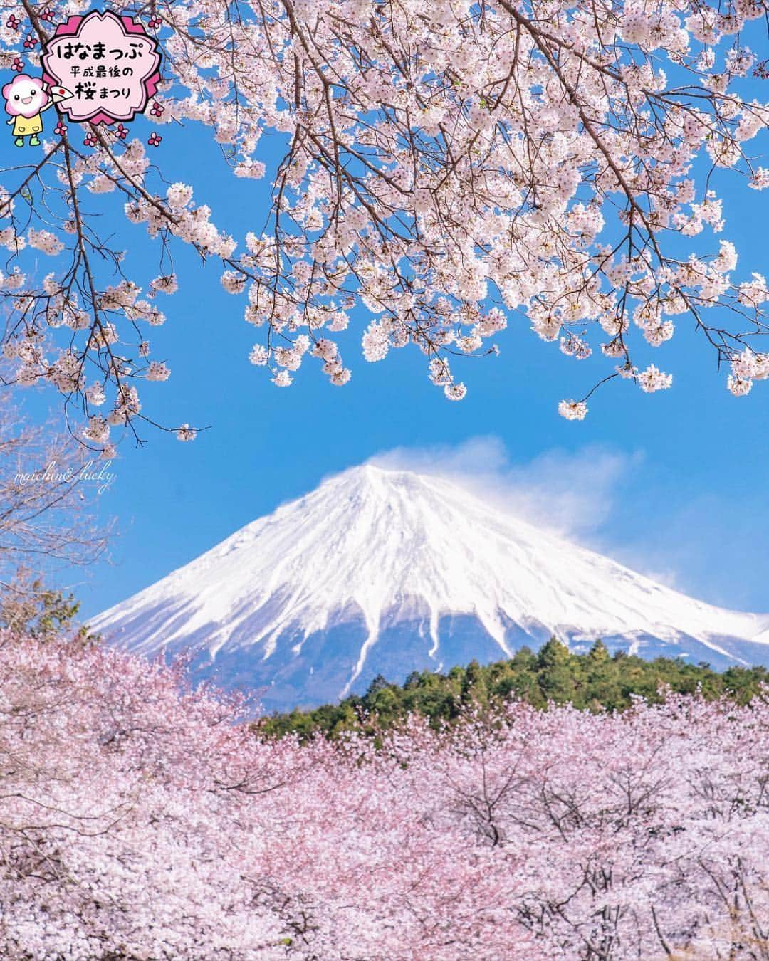 はなまっぷ❁日本の花風景さんのインスタグラム写真 - (はなまっぷ❁日本の花風景Instagram)「🍃🌸はなまっぷ平成最後の桜まつり🌸🍃 * @lucky.maichin さんの 平成の桜に花まるを💮 * 平成を彩る日本の美しい桜をありがとうございます😊🌸🍃 * 静岡  #岩本山公園  #龍巌淵 Fuji, Shizuoka Pref. * 見頃を過ぎている場所もご紹介しています。 お出かけの際はHP等で最新の情報をご確認くださいね🙏🌸🍃 * 🌸•••🍃•••🌸•••🍃•••🌸•••🍃•••🌸 * 🌸桜まつり概要🌸 * 期間:平成最後の日まで タグ:#はなまっぷ * #はなまっぷ  のタグの中から、桜のお写真をどんどんご紹介させていただきます。期間中はランダムに、複数枚投稿でもご紹介させていただく場合がございます。 * #桜#sakura#花見#さくら#日本#春#花#平成最後の#満開#富士山#mtfuji * 🌸•••🍃•••🌸•••🍃•••🌸•••🍃•••🌸 * はなまっぷより * 💌LINEスタンプ「はなまっぷちゃん」絶賛発売中！みなさんのLINEにも花まるを💮 💌はなまっぷ本、Amazonや全国の書店さんで満開です！ぜひお手にとっていただけると嬉しいです🌸 * LINEスタンプ、はなまっぷ本は、プロフ欄記載のTwitterアカウントよりご確認ください。 * 🌸•••🍃•••🌸•••🍃•••🌸•••🍃•••🌸 *」4月3日 12時45分 - hanamap