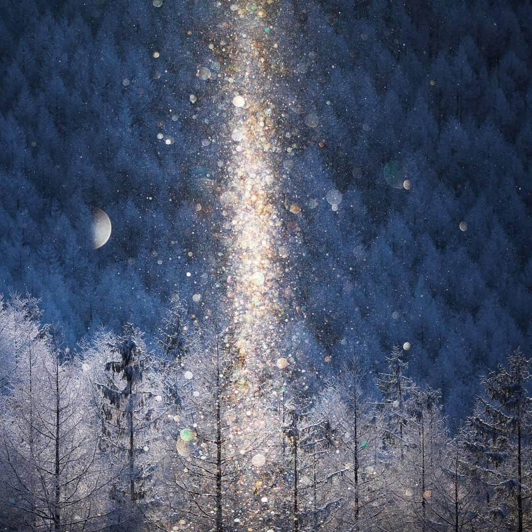Canon Asiaのインスタグラム：「“This is a picture of the diamond dust of the Kirigamine Plateau, Japan. It will shine in the morning, and more especially so when it is a cold morning.” We are in awe with this mystical shot that @aki_naka1 took at Mount Kirigamine, Japan 🗾. • Took some shots during your last trip? 🧳 Share it with us! We would love to see it. • 📷 Image by @aki_naka1 shot using the Canon EOS 5D Mark IV | Canon EF 70-200mm f/2.8L IS III USM | ISO 400 | f/2.8 | 1/2000s | 168mm  Want your photos to be featured too? Tag them with #canonasia or submit them on My Canon Story, link in bio!  #canonasia #photography #naturephotography #naturelovers #nature #travelphotography #travel #igjp #Japan #daily_photo_jpn #photo_jpn #japan_of_insta #igersjp」